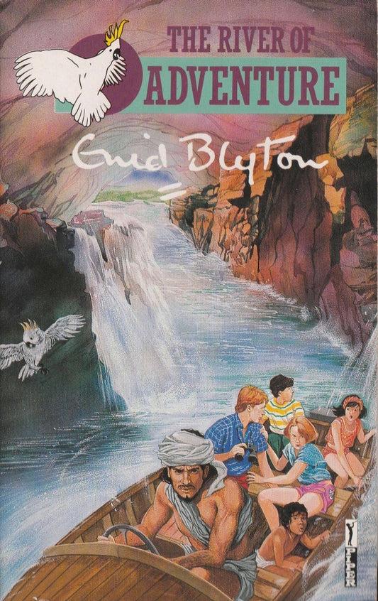 Book cover of The River of Adventure by Enid Blyton