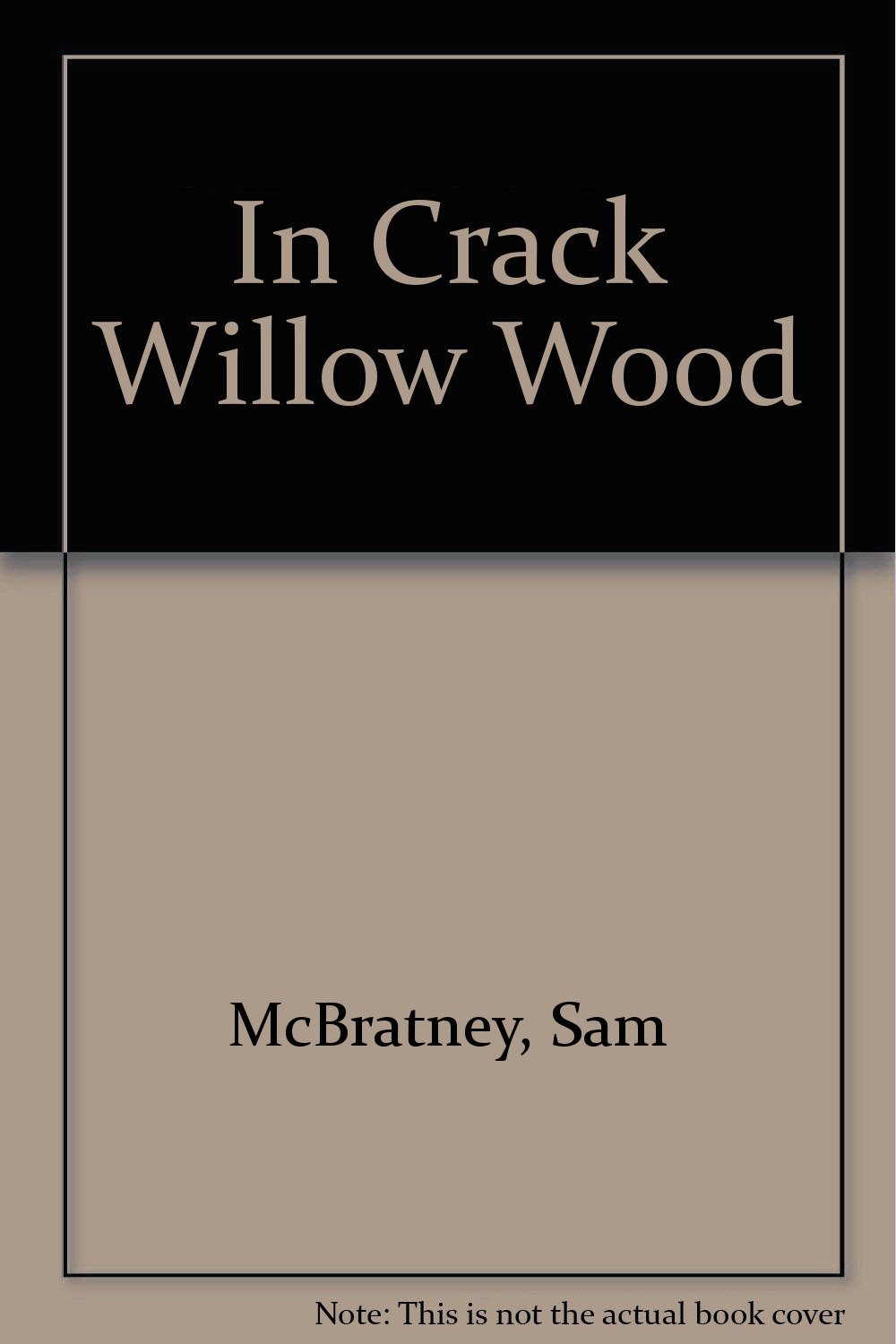 Book cover of In Crack Willow Wood by Sam McBratney