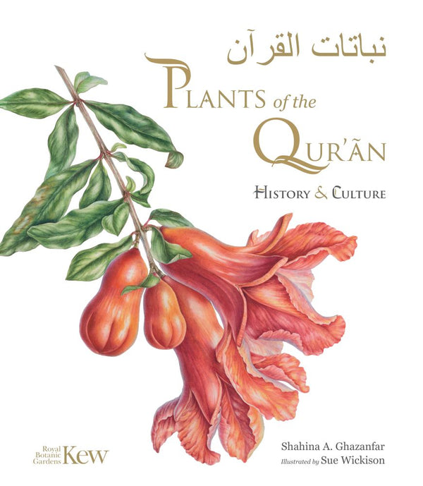 Book cover of Plants Of The Quran: History & Culture by Shahina A. Ghazanfar, Sue Wickison (Illus.)