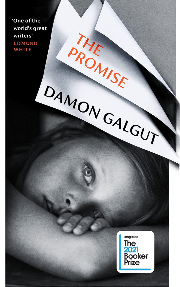 Book cover of The Promise by Damon Galgut