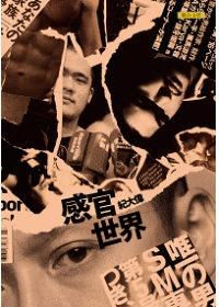Book cover of 感官世界 by 紀大偉