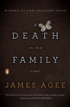 Book cover of A Death in the Family by James Agee