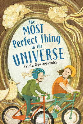 Book cover of The Most Perfect Thing in the Universe by Tricia Springstubb