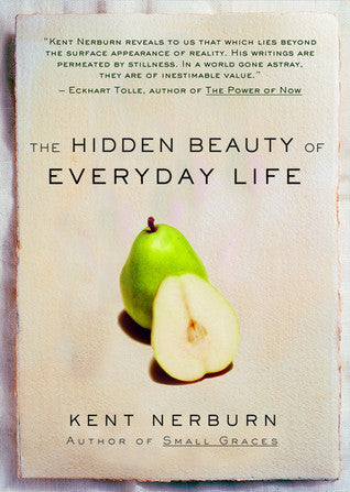 Book cover of The Hidden Beauty of Everyday Life by Kent Nerburn