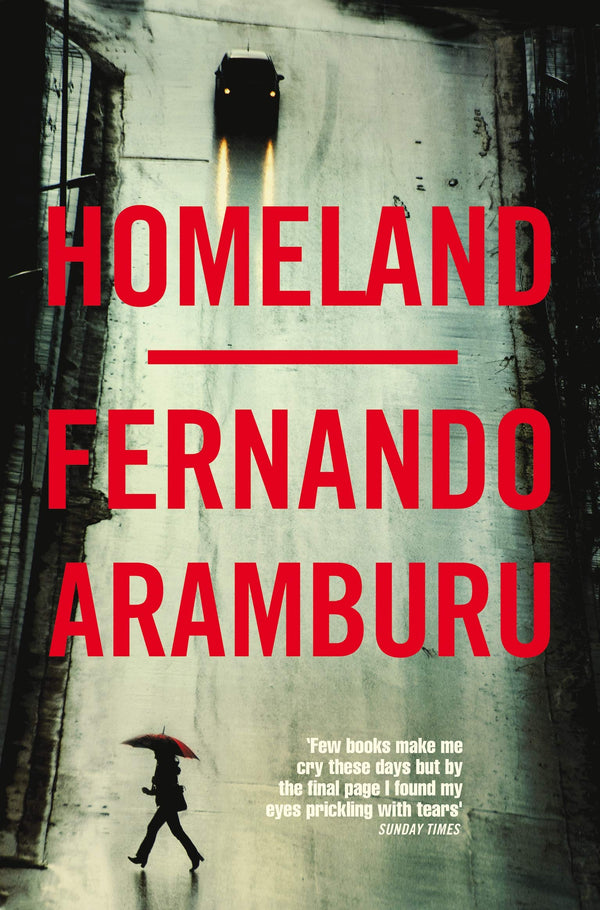 Book cover of Homeland by Fernando Aramburu