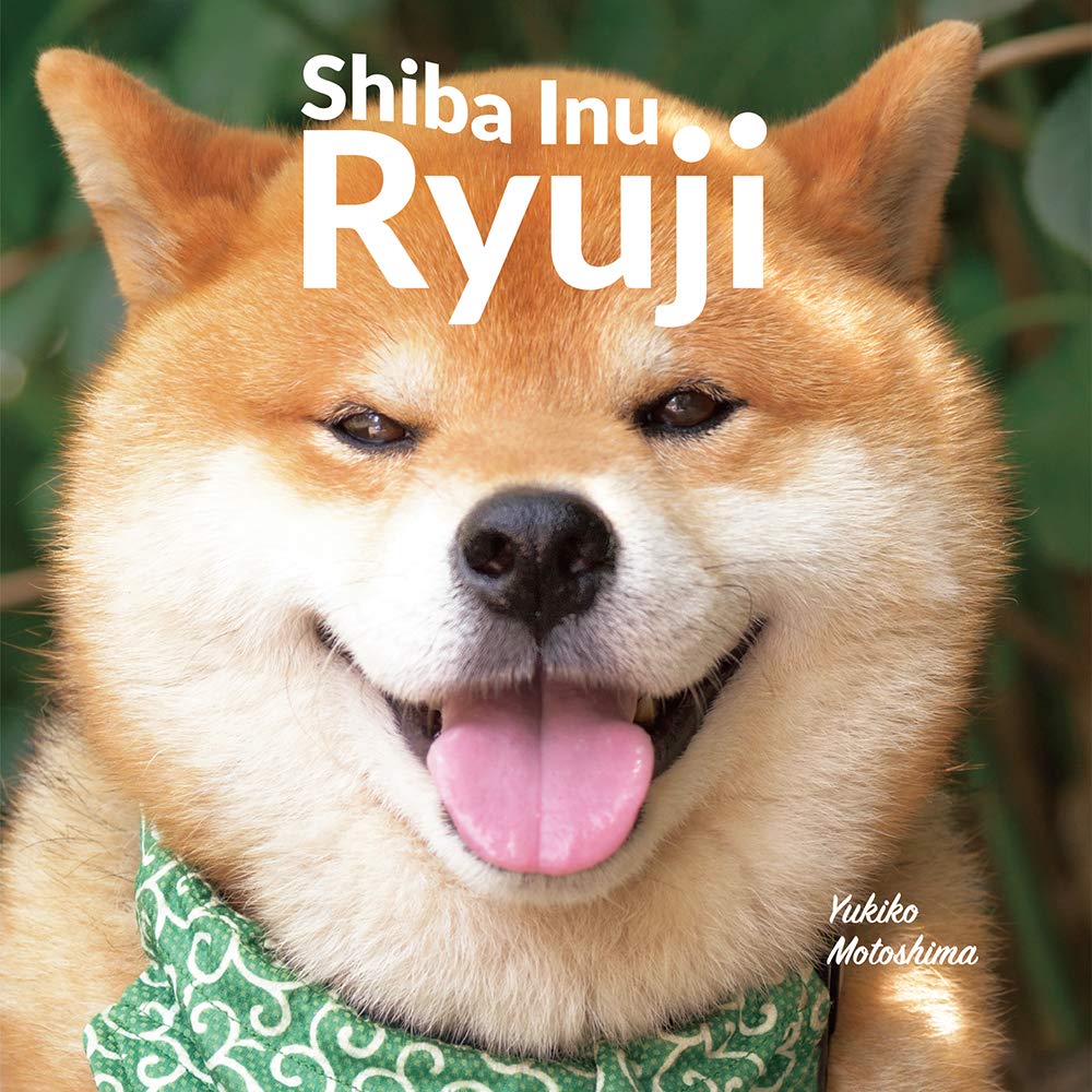 Book cover of Shiba Inu Ryuji by Yukiko Motoshima