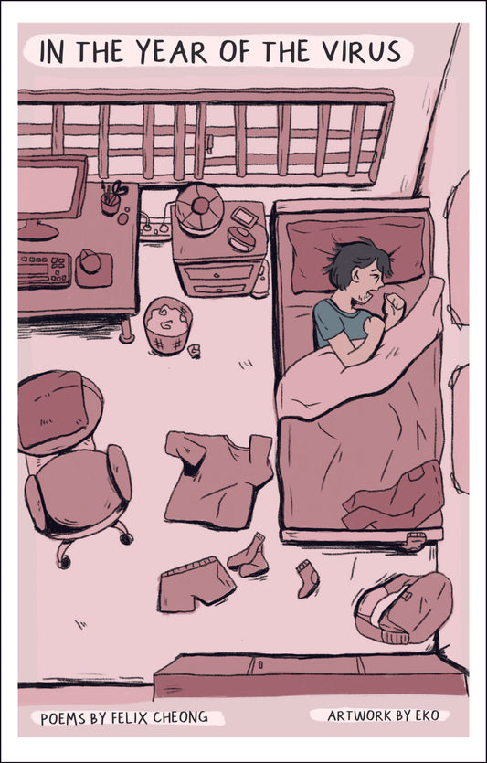 Book cover of In The Year Of The Virus by Felix Cheong, Eko (Jia He Yi) (Illus.)