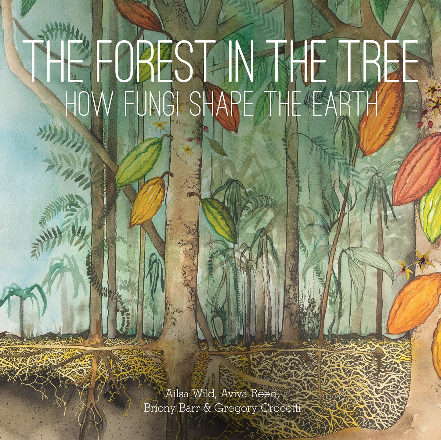 Book cover of The Forest in the Tree: How Fungi Shape the Earth by Ailsa Wild, Aviva Reed, Briony Barr, Gregory Crocetti