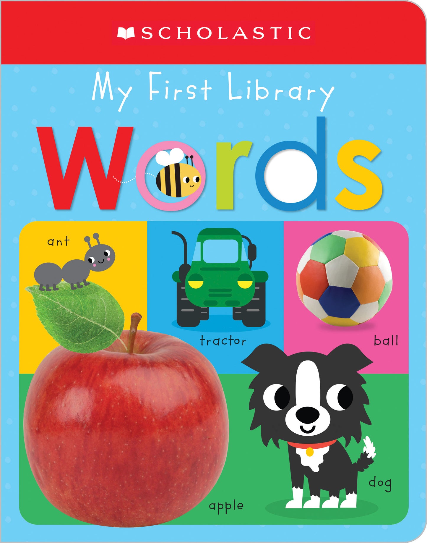 Book cover of My First Words: Scholastic Early Learners by Scholastic Inc.
