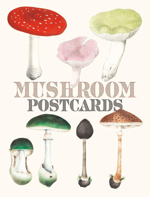 Book cover of Mushroom Postcards by PIE International (Ed.)