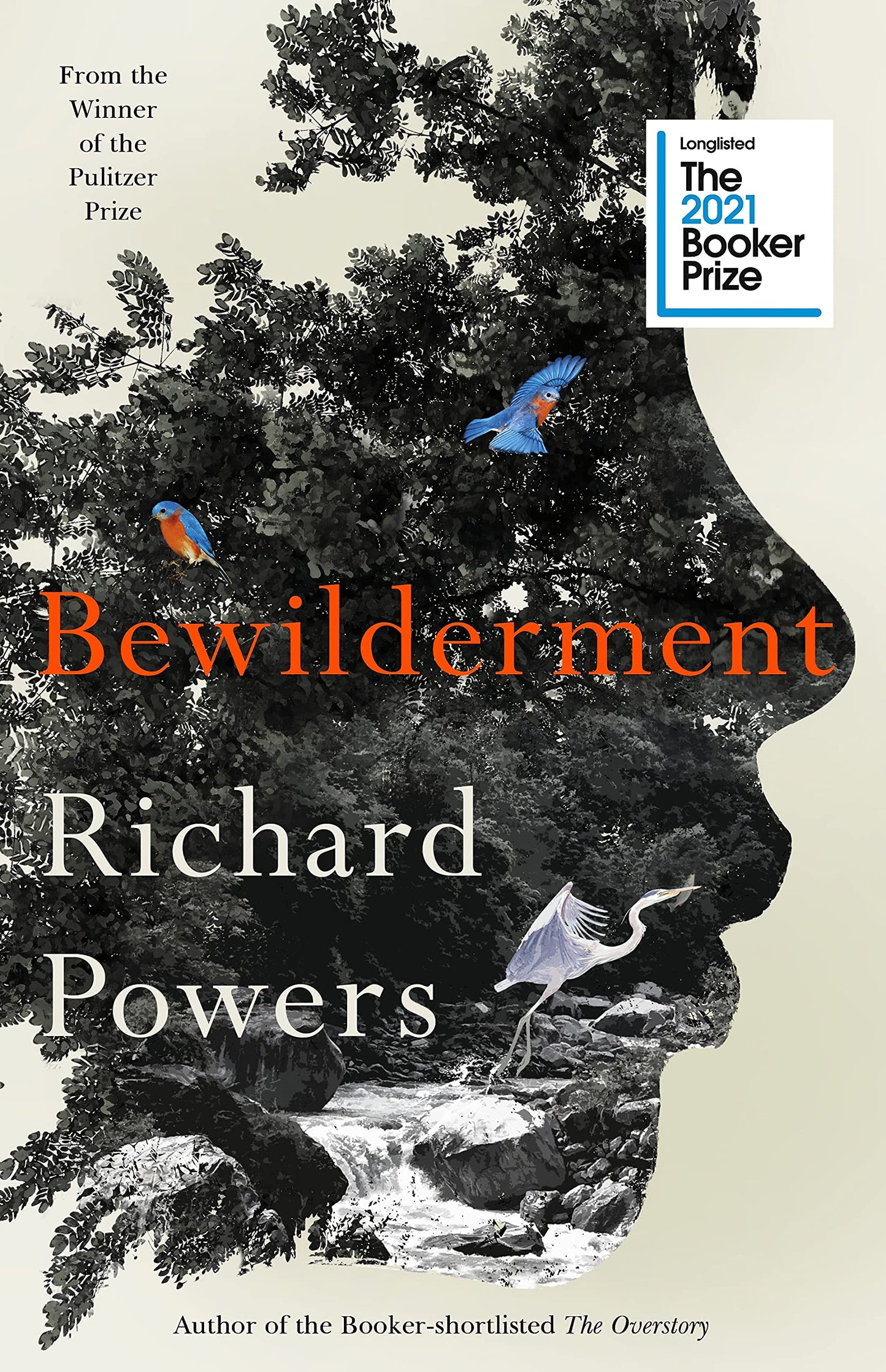 Book cover of Bewilderment by Richard Powers