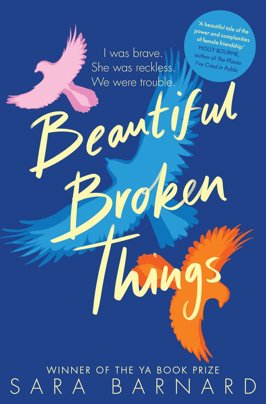 Book cover of Beautiful Broken Things by Sara  Barnard