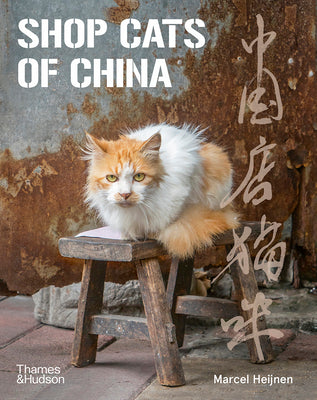 Book cover of Shop Cats of China by Marcel Heijnen, Catharine Nicol (Foreword), Ian Row (Text)