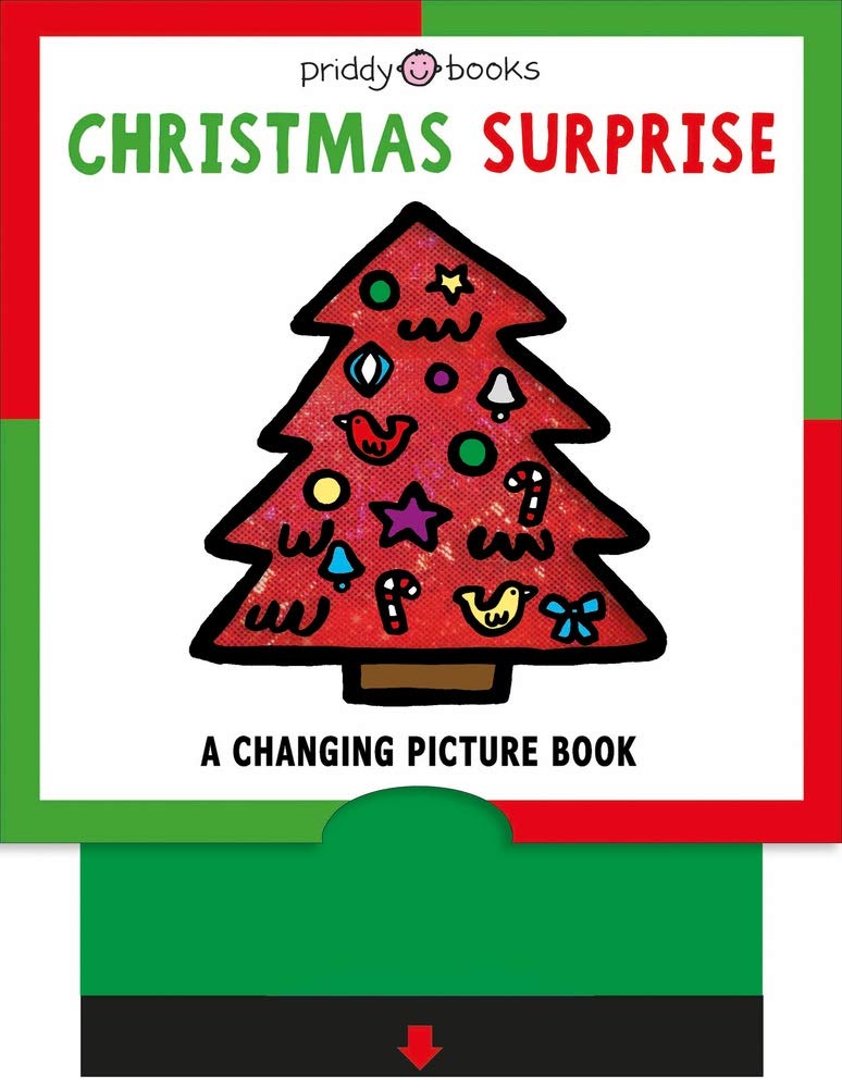Book cover of Christmas Surprise by Roger Priddy