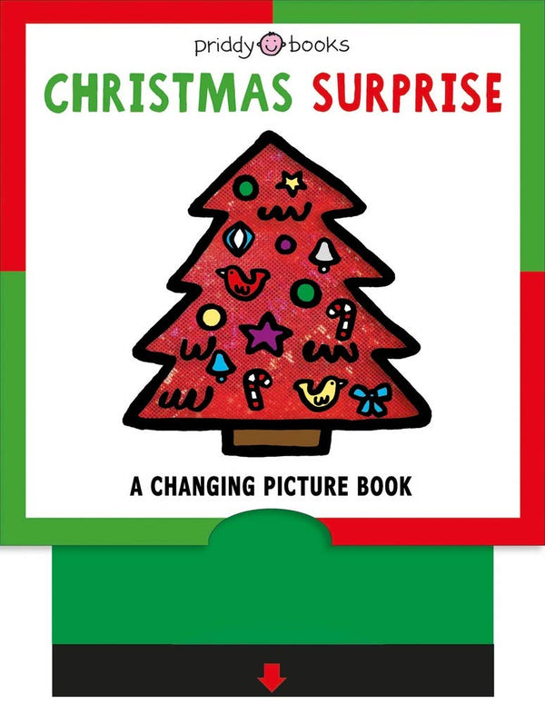 Book cover of Christmas Surprise by Roger Priddy