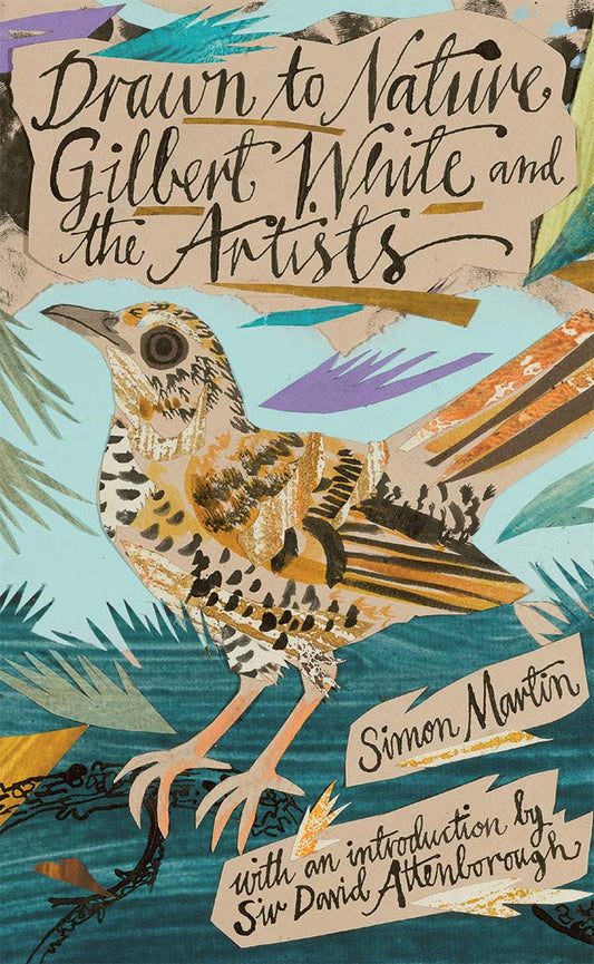 Book cover of Drawn To Nature: Gilbert White And The Artists by Simon Martin, David Attenborough (Introduction), Virginia Woolf (Contrib.)
