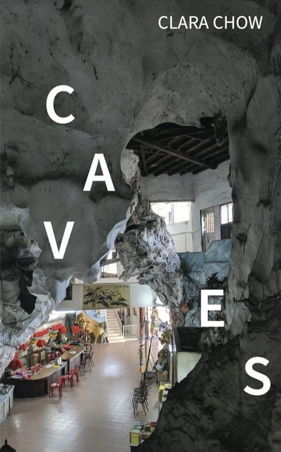 Book cover of Caves by Clara Chow