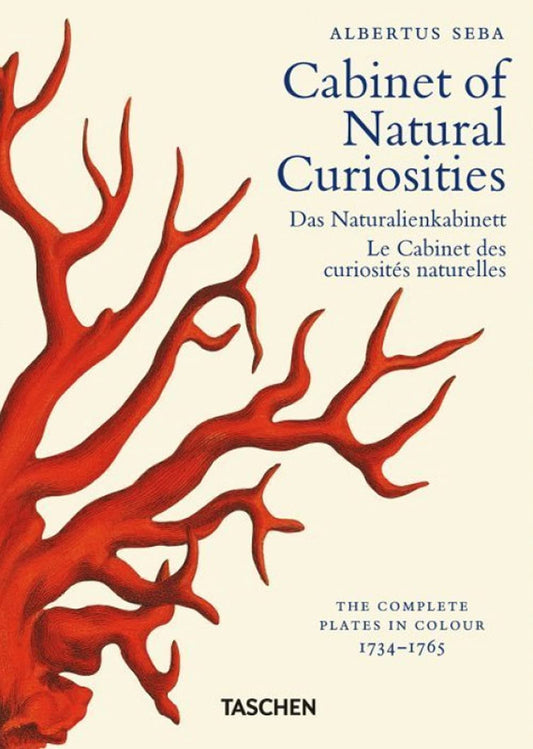 Book cover of Cabinet Of Natural Curiosities: Das Naturalienkabinett Le Cabinet Des Curiosites Naturelles; Locupletissimi Rerum Naturalium Thesauri 1734-1765 by Irmgard Müsch, Jes Rust, Rainer Willmann, Taschen (Ed.)