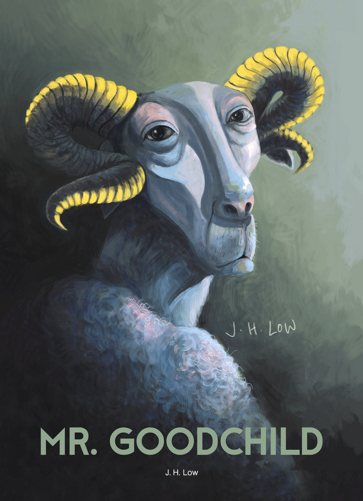 Book cover of Mr Goodchild by J.H. Low