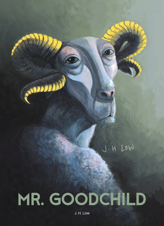 Book cover of Mr Goodchild by J.H. Low