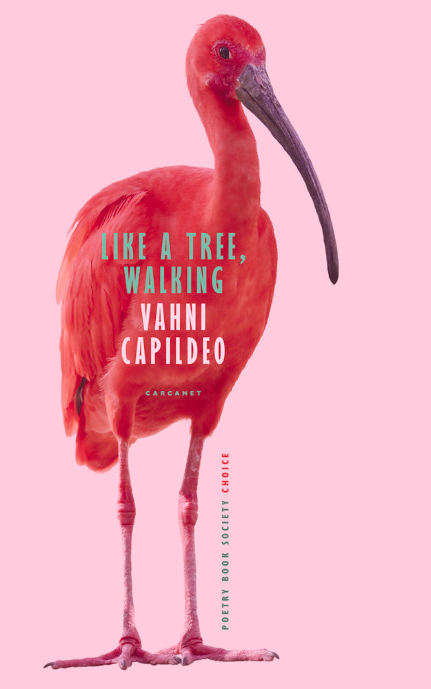 Book cover of Like A Tree, Walking by Vahni Capildeo