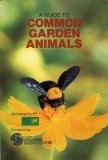 Book cover of A Guide To Common Garden Animals by Joyce Foo Tok Shiew
