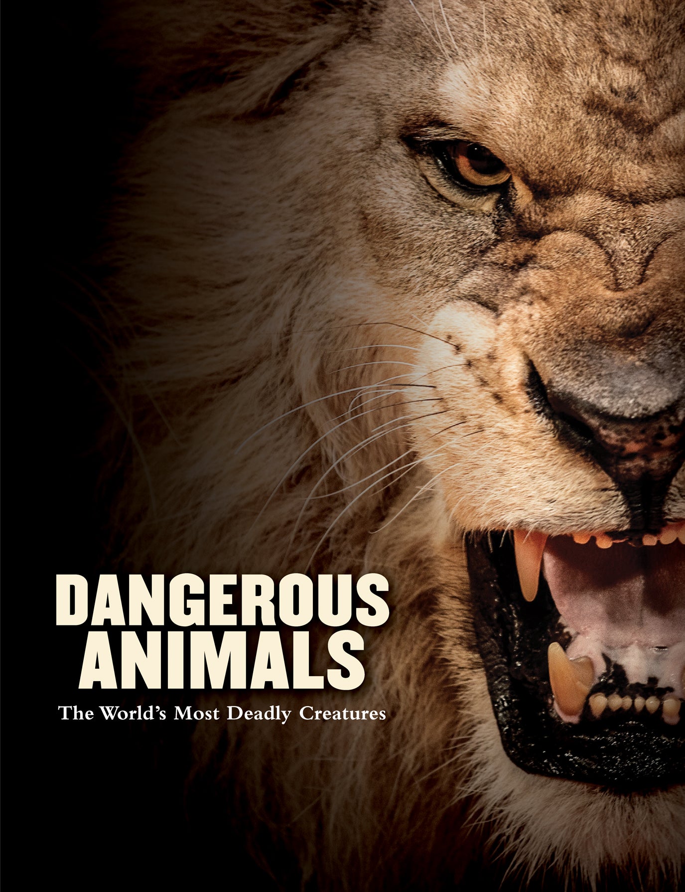 Book cover of Dangerous Animals by Barry Madden