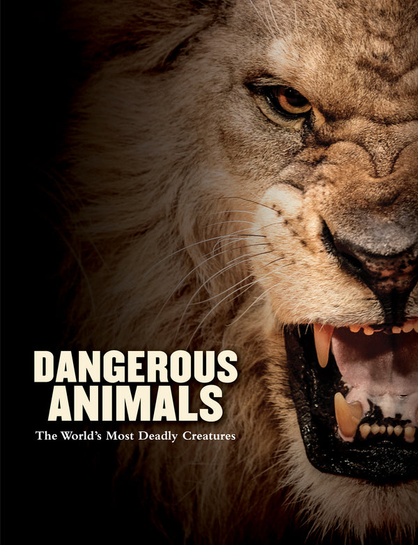 Book cover of Dangerous Animals by Barry Madden