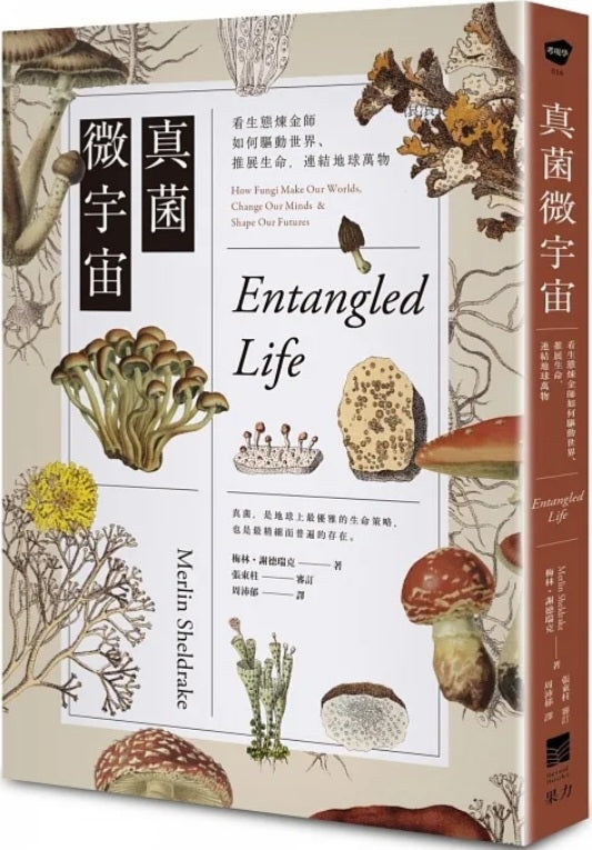 Book cover of 真菌微宇宙：看生態煉金師如何驅動世界、推展生命，連結地球萬物 by Merlin Sheldrake, 梅林．謝德瑞克, 周沛郁 (Trans.)