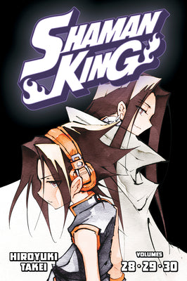 Book cover of Shaman King. Omnibus, Vol. 10 by Hiroyuki Takei