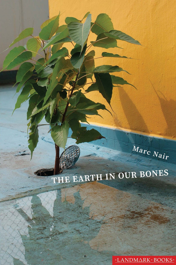 Book cover of The Earth In Our Bones by Marc Nair