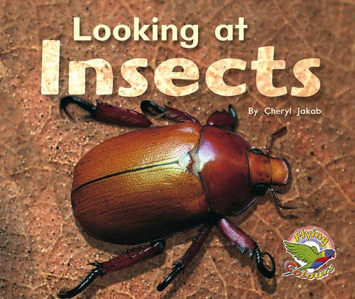 Book cover of Looking At Insects by Cheryl Jakab