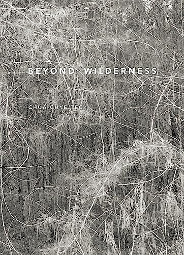 Book cover of Beyond Wilderness by Chua Chye Teck