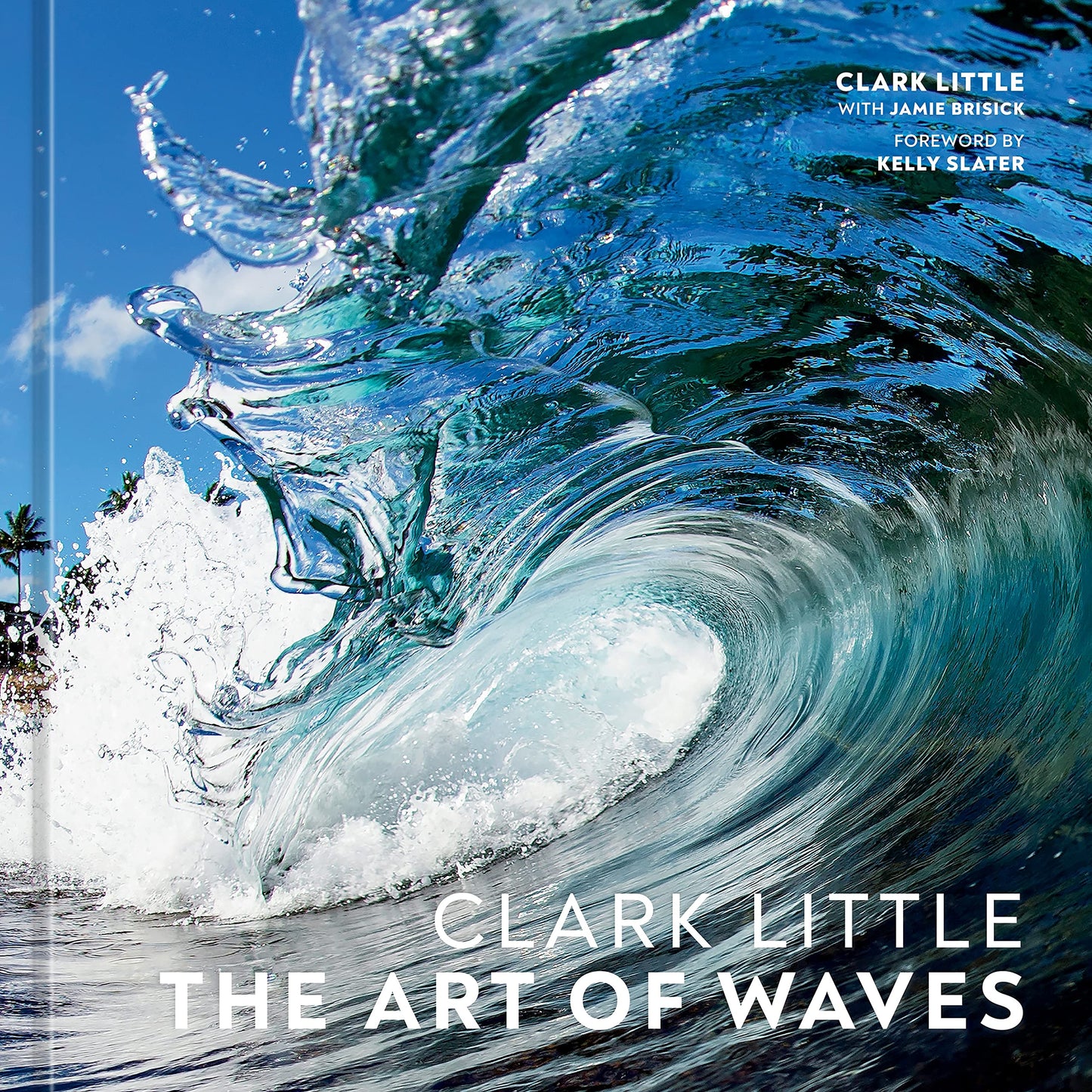 Book cover of Clark Little: The Art Of Waves by Clark Little, Kelly Slater (Foreword), Jamie Brisick (Primary Contributor)