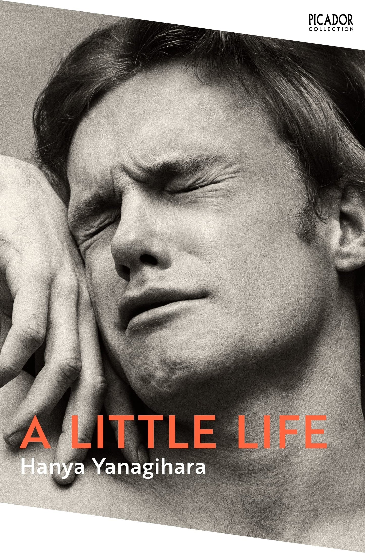 Book cover of A Little Life by Hanya Yanagihara