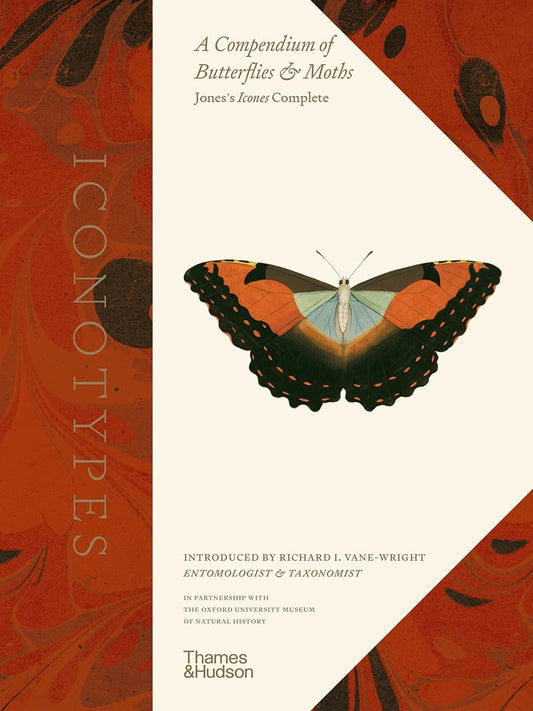 Book cover of Iconotypes A Compendium of Butterflies and Moths. Jones' Icones Complete /Anglais by Oxford University Museum of Natural History