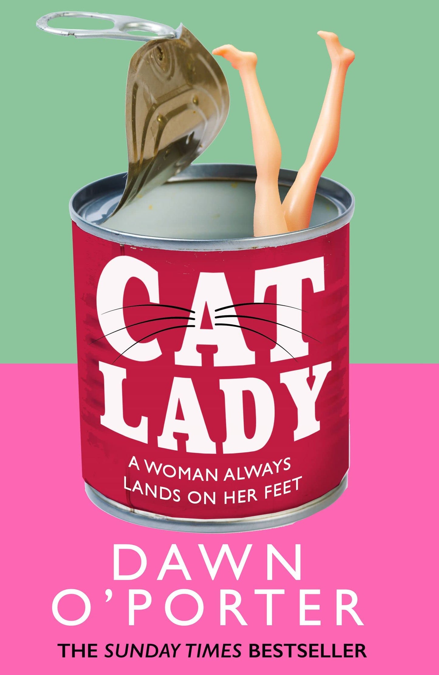 Book cover of Cat Lady by Dawn O'Porter