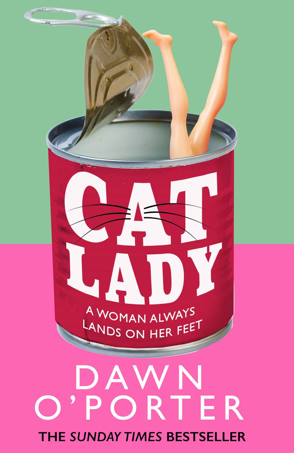 Book cover of Cat Lady by Dawn O'Porter