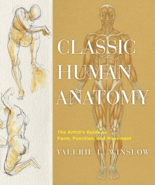 Book cover of Classic Human Anatomy: The Artist's Guide to Form, Function, and Movement by Valerie L. Winslow