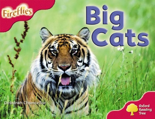 Book cover of Oxford Reading Tree: Stage 4: More Fireflies A: Big Cats by Deborah Chancellor