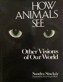 Book cover of How Animals See by Sandra Sinclair