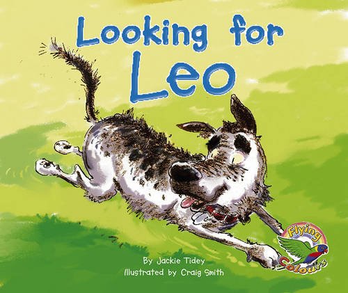 Book cover of Looking For Leo by Jackie Tidey