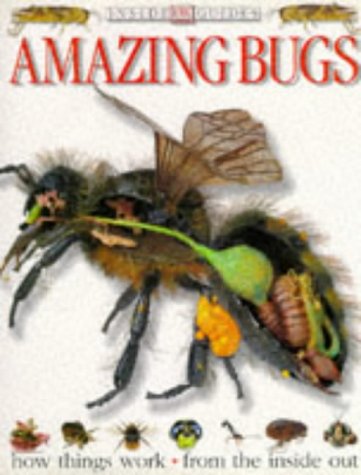 Book cover of Amazing Bugs by Unknown