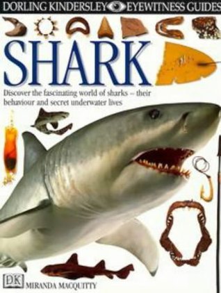 Book cover of Shark by Miranda MacQuitty