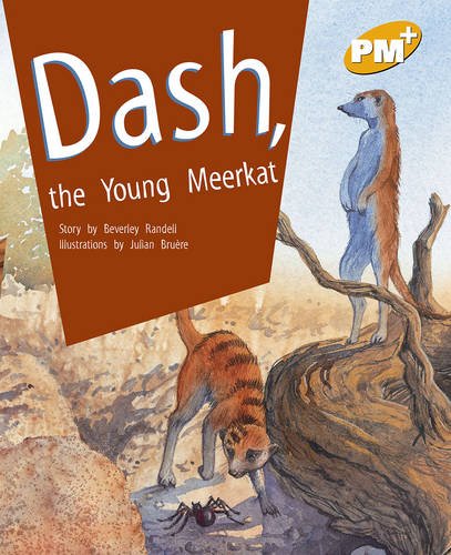 Book cover of Dash The Young Meerkat: Pm Plus Gold L21 by Beverley Randell