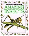 Book cover of Amazing Insects by L.A. Mound