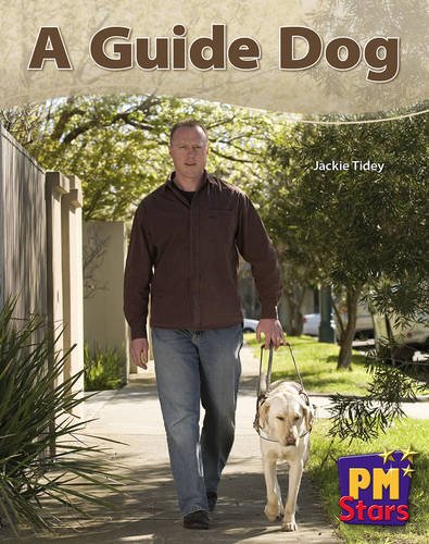 Book cover of A Guide Dog PM Stars Blue by Jackie Tidey