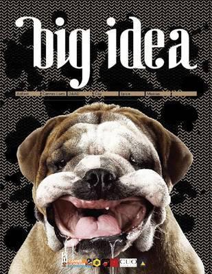 Book cover of Big Idea by Wang Shaoqiang (Ed.)