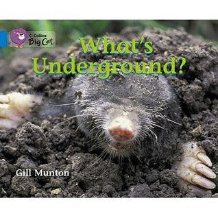 Book cover of What's Underground?, Band 04/Blue by Gill Munton