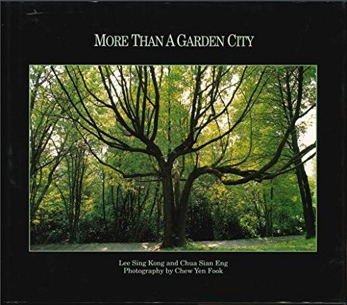 Book cover of More Than a Garden City by Lee Sing Kong